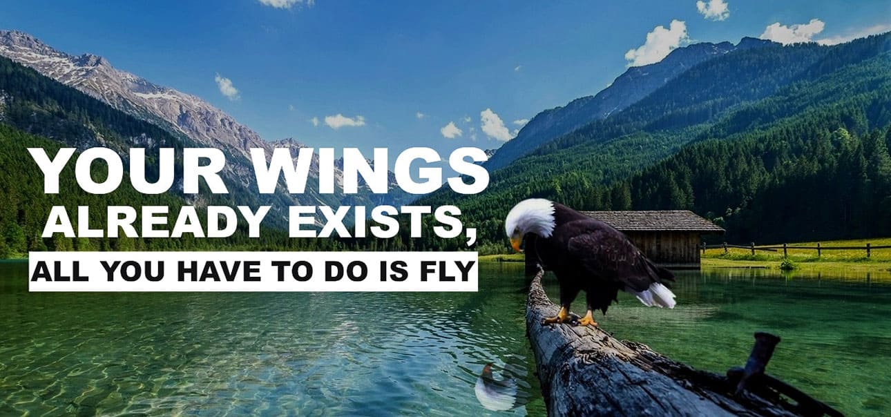 Your Wings Already Exists, All You Have To Do Is Fly.